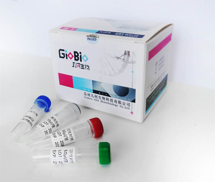 诺如病毒GI型/GII型核酸检测试剂盒（